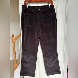 NWOT Free People Brown Velvet Pants - Size 12